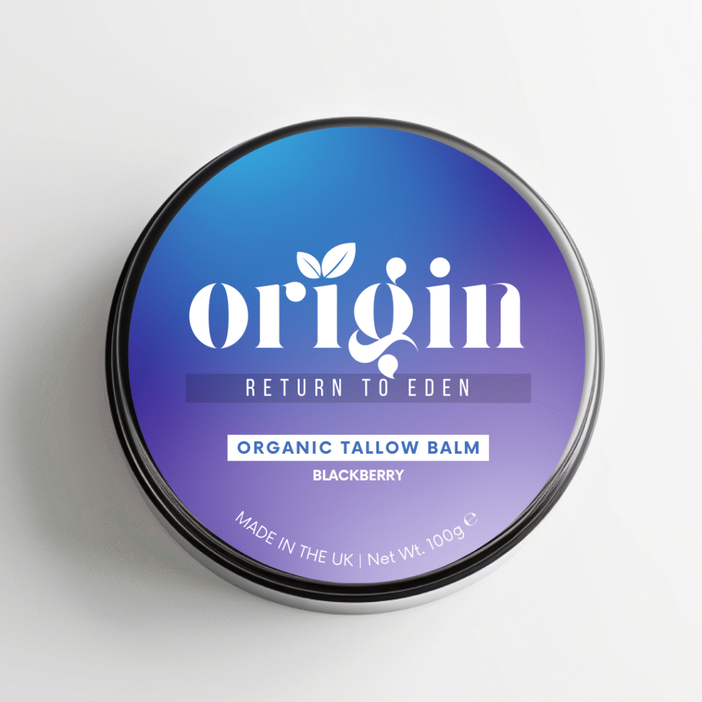 Blackberry tinted tallow balm styled with fresh blackberries for antioxidant skincare